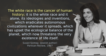 Sontag Jew Immigration Whites Feminism.png