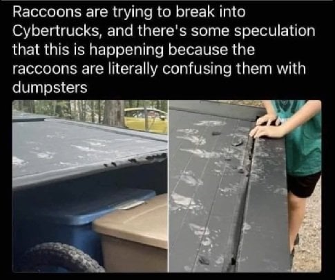 ct.jpg