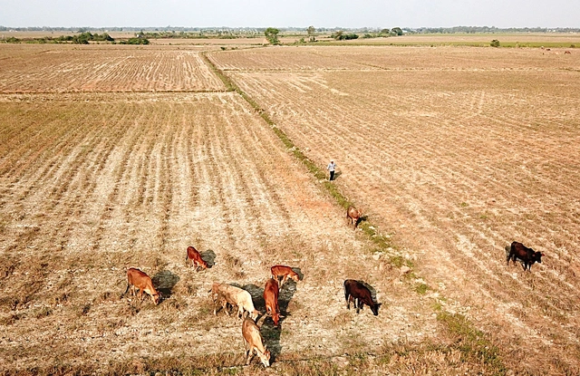 el-nino-drought-lead.jpg