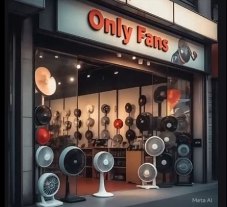 fans.jpg