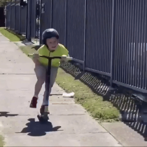 giphy (14).gif