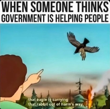 harm.jpg