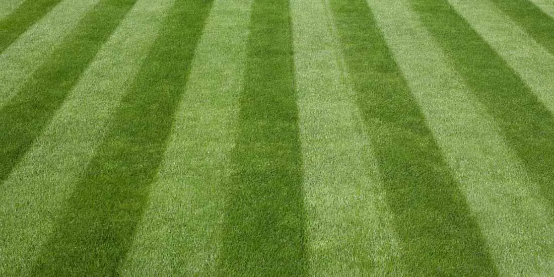 how-to-get-a-striped-lawn.webp