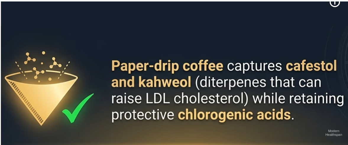 Paper Drip Brewing Method is Best For Coffee?
