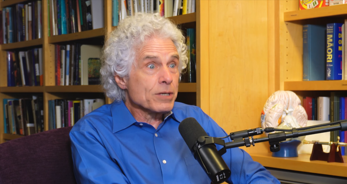 The Mysticism of AI: Do you trust Pinker to tell us the truth?