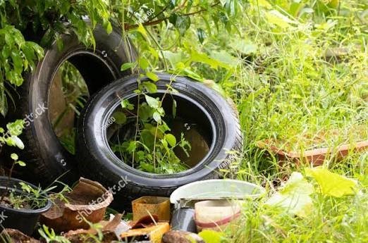 Thailand 2026 dengue cases reach 21,620, with 31 deaths