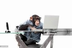 images.jpg