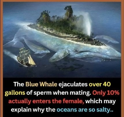 salty.jpg