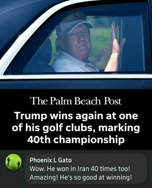 so-much-winning-v0-qchew0gw6qlh1.webp
