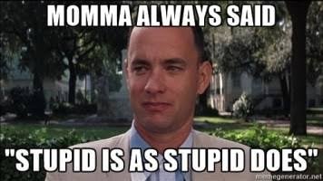 stupid.jpg