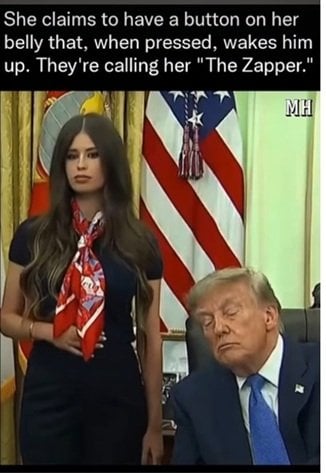zapper.jpg