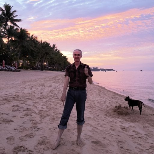 Does living in Thailand cause brain rot?