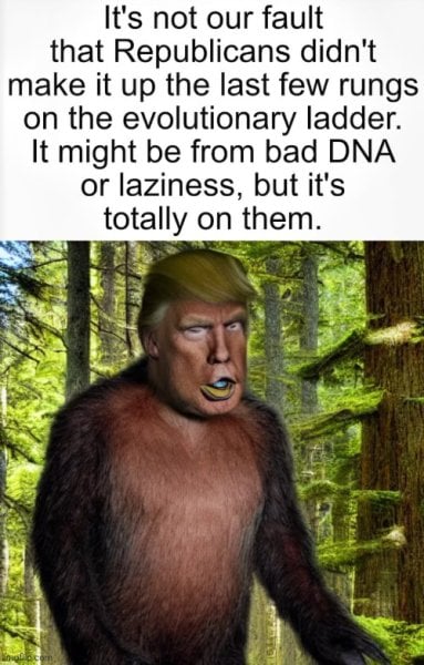 trump labelled lazy orange orangatan