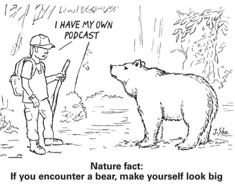 BearPodcast.jpg