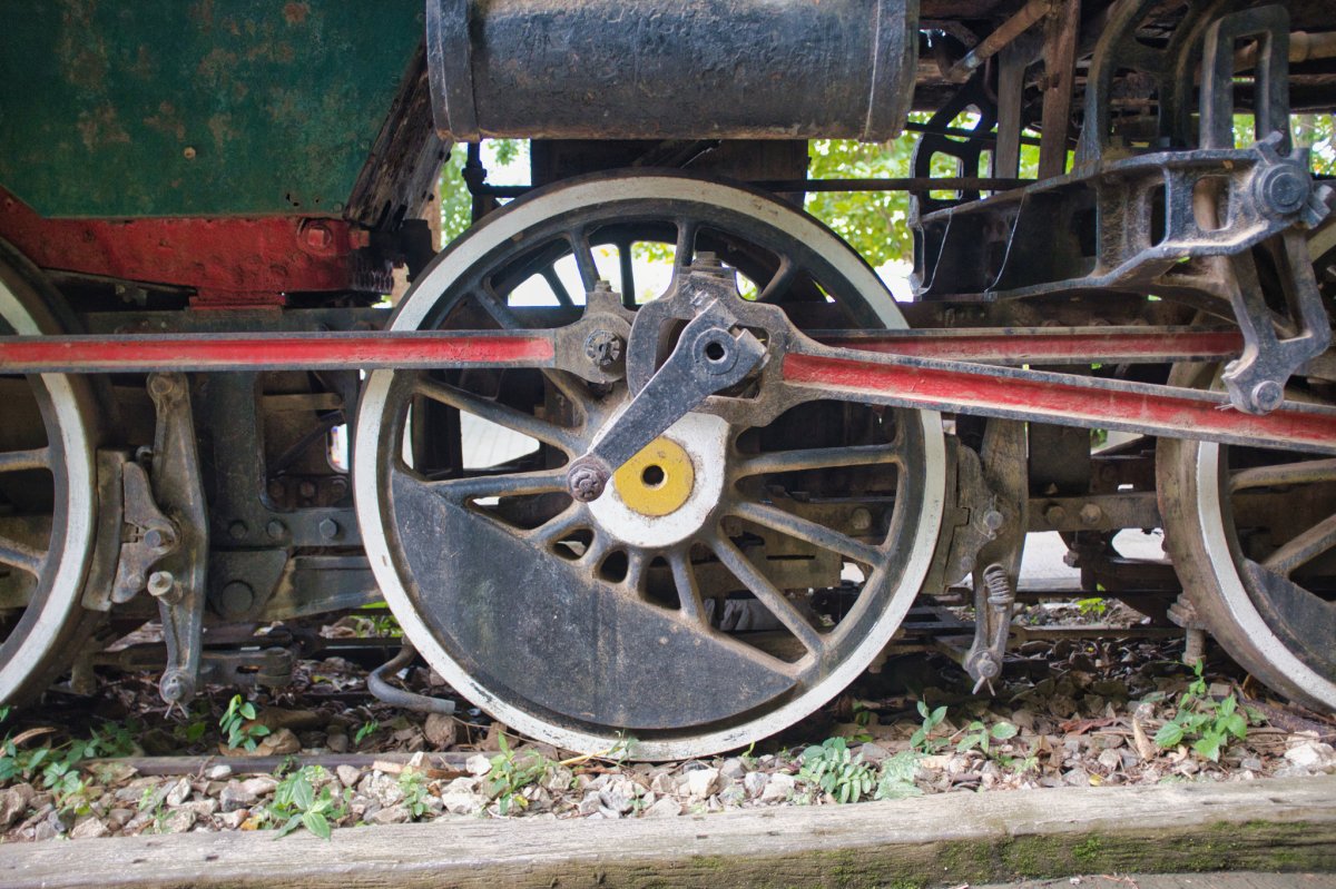 DSCF7208.jpg
