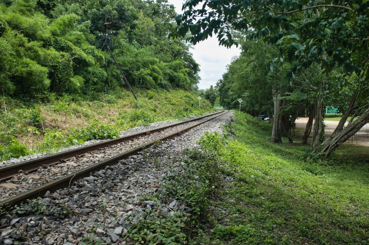 DSCF7235.jpg