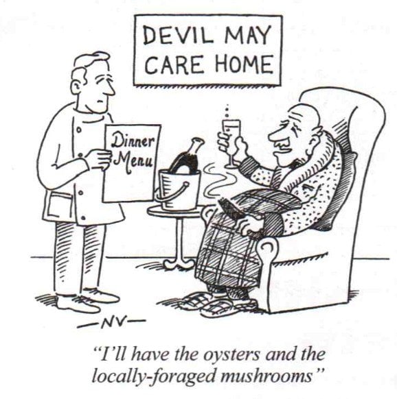 DevilMayCareHome.jpg