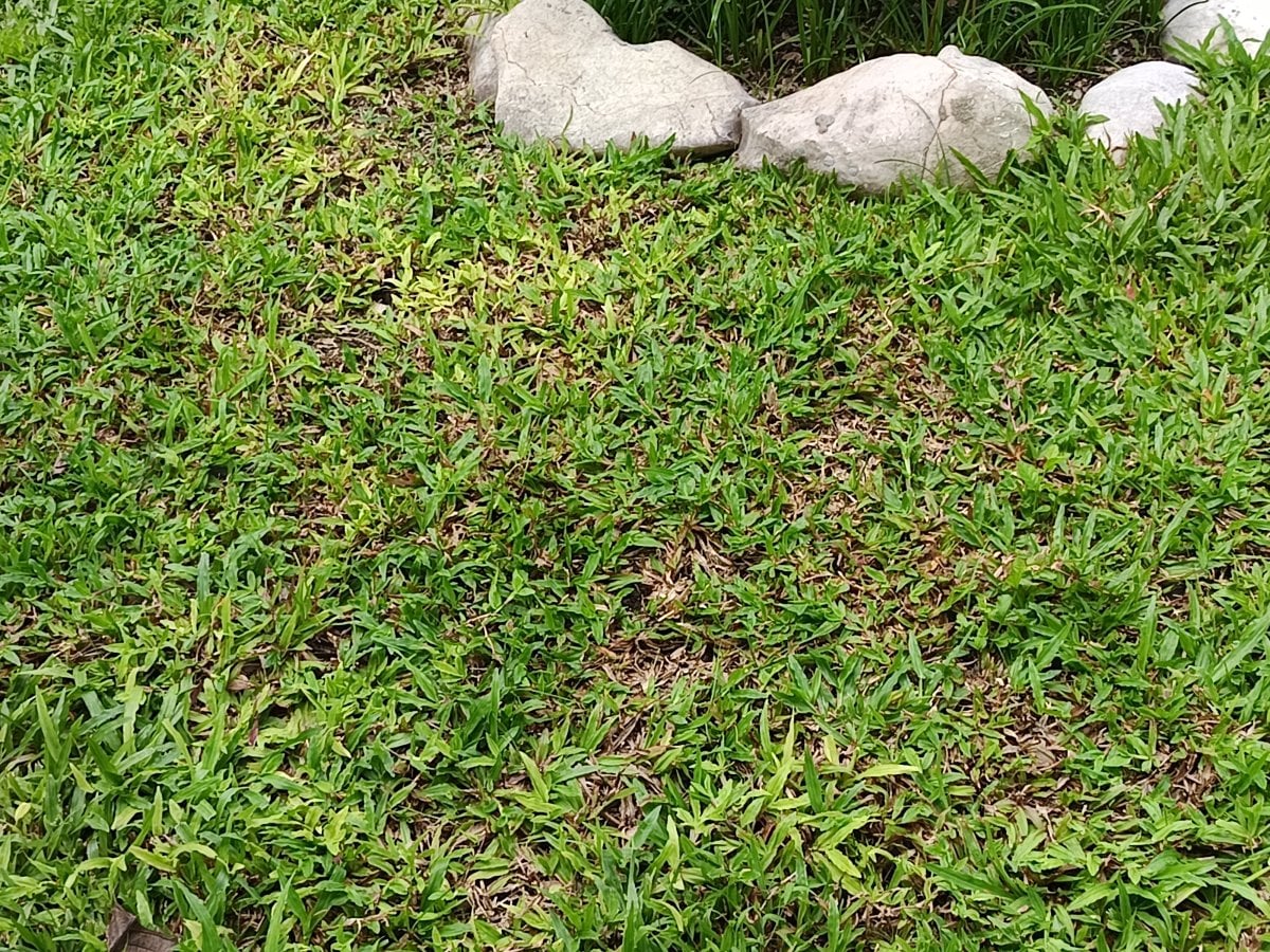 IMG_20260901_101228.jpg