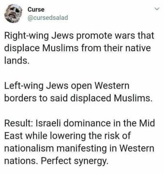 Jews Immigration RW & LW Synergy.jpeg