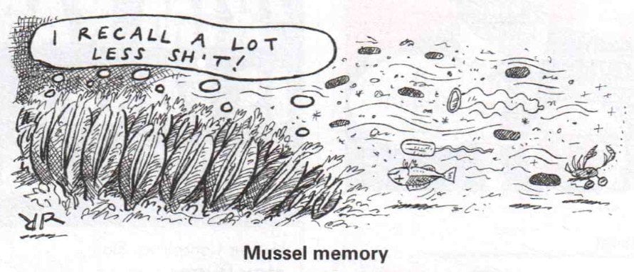 MusselMemory.jpg
