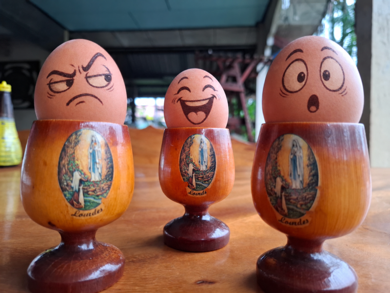 Standard eggs.png