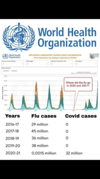 Where Did The Flu Go In 2020 & 2021?.png
