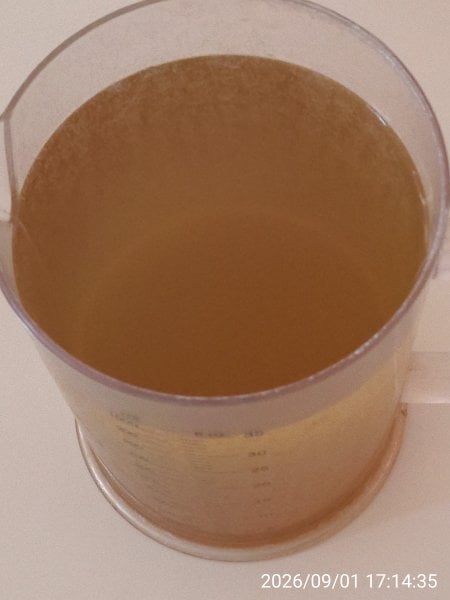 Brown water from taps