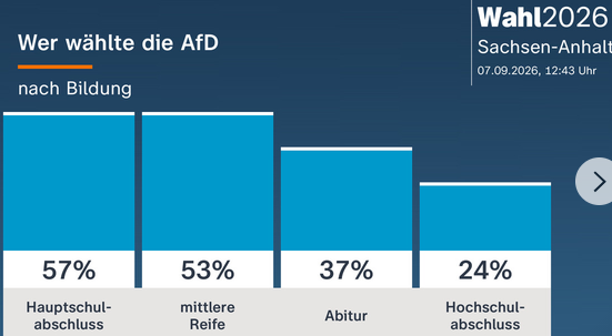 Germany’s AfD Surge Creates Unease Among Far-Right Allies