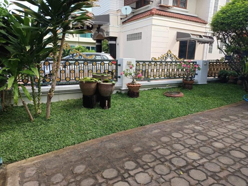 front yard side with lotus.jpg