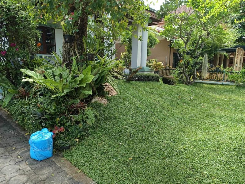 front yard with hill.jpg