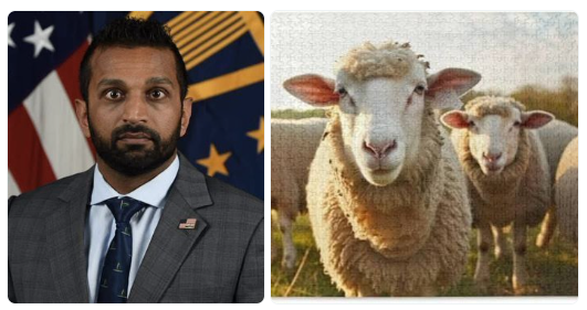 Wanna Join The FBI But Have "Fun With Fido" On Your Rap Sheet? No Prob