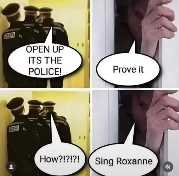 police.jpg