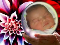 post-11996-1164140079_thumb.jpg