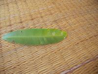 post-17572-1162195597_thumb.jpg