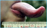 post-18822-1142336401_thumb.jpg
