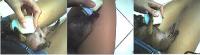 post-19740-1145401637_thumb.jpg