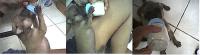 post-19740-1145401674_thumb.jpg