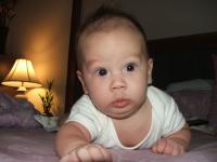 post-2188-1119561966_thumb.jpg
