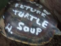 post-22124-1160439124_thumb.jpg