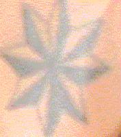 post-22330-1129139090_thumb.jpg