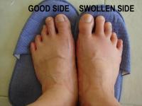 post-24815-1143181628_thumb.jpg
