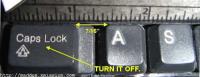 post-2707-1155359531_thumb.jpg