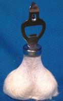 post-2707-1163012354_thumb.jpg