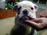 post-35517-1160013827_thumb.jpg